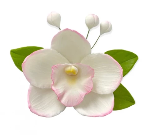 Сахарное украшение Орхидея с листочками белая тонированая