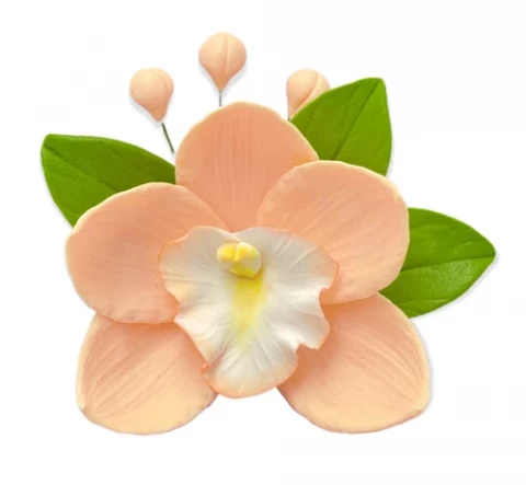 Сахарное украшение Орхидея с листочками персиковая