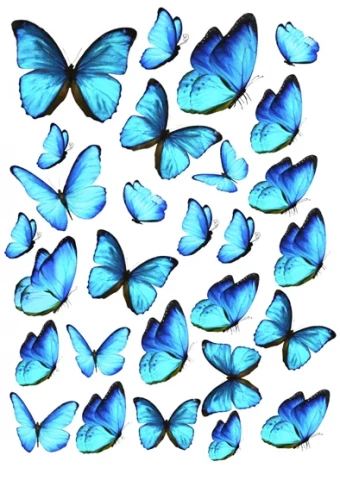Вафельная картинка "Бабочки №61"