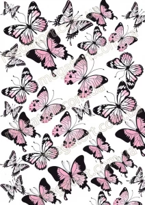 Вафельна картинка "Метелики №63"
